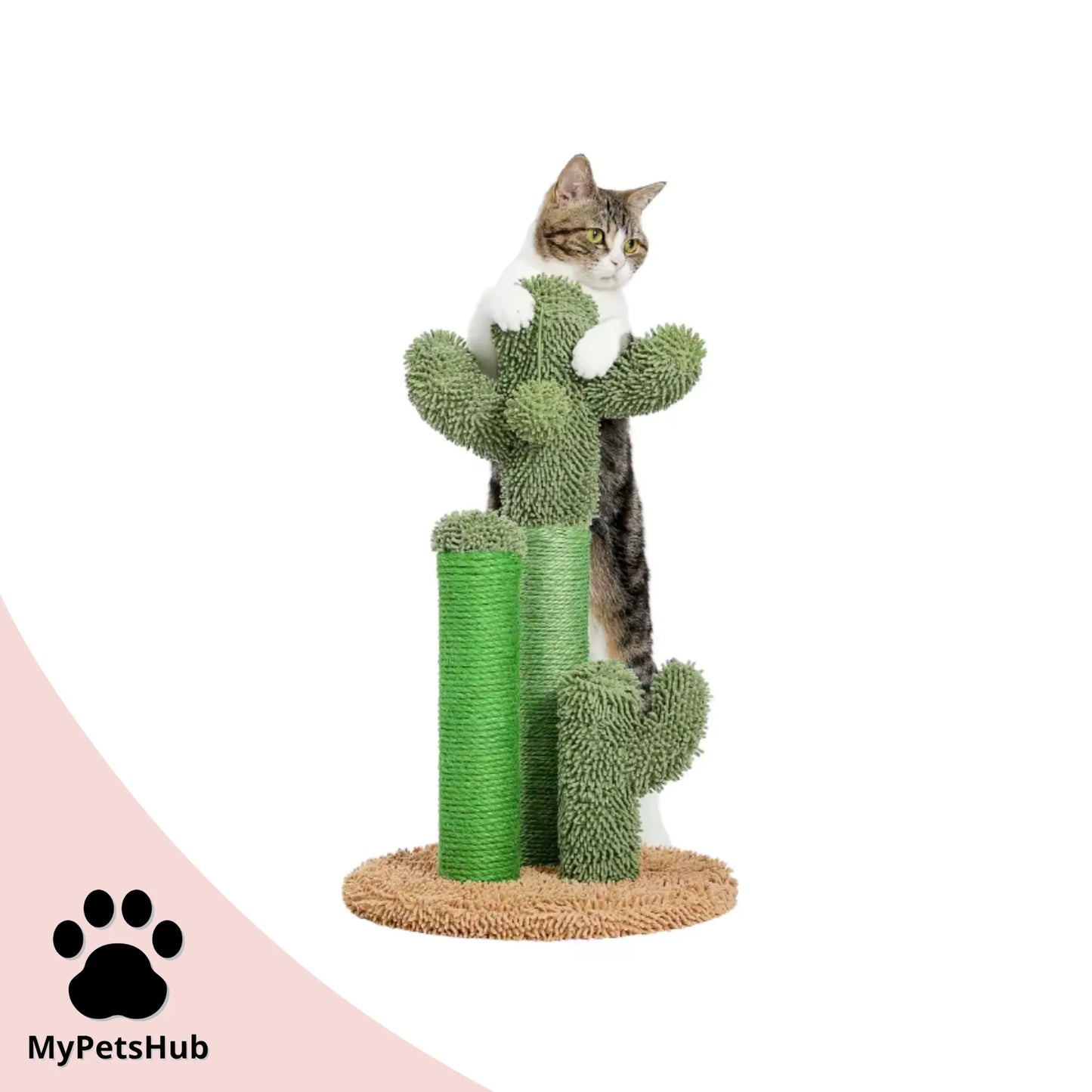 Arbre à chat griffoir cactus