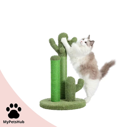 Arbre à chat griffoir cactus