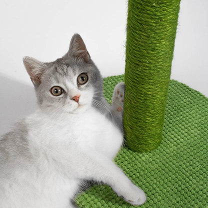 Arbre à chat cactus/cocotier - MyPetsHub