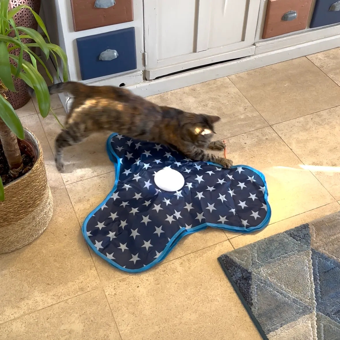 Jouet interactif pour chat avec ficelles stimulantes