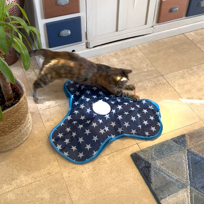 Jouet interactif pour chat avec ficelles stimulantes