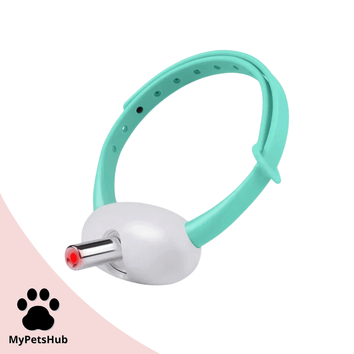 Collier laser pour chat | LaserCat™ - MyPetsHub