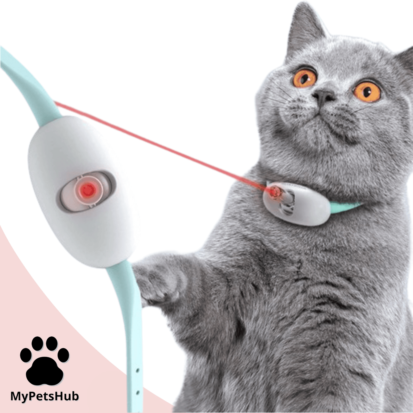 Collier laser pour chat - MyPetsHub