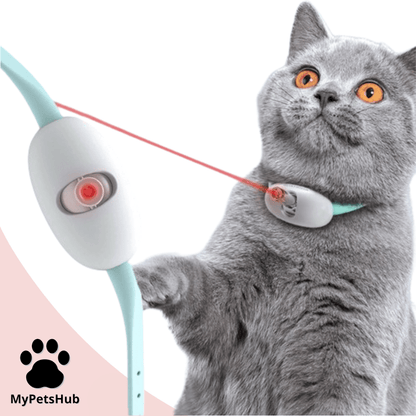 Collier laser pour chat - MyPetsHub