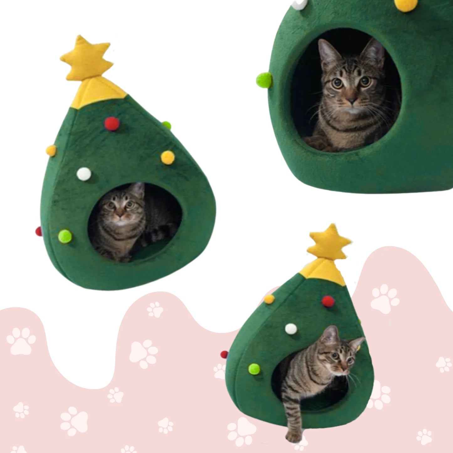 Chat dans grotte sapin Noël, différentes positions vue angles variés