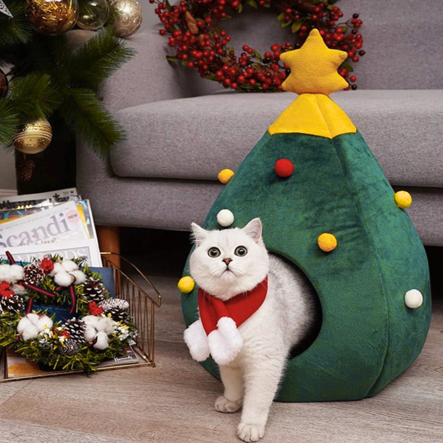 Chat s'étire au réveil dans grotte sapin Noël, deux pattes sortant du panier