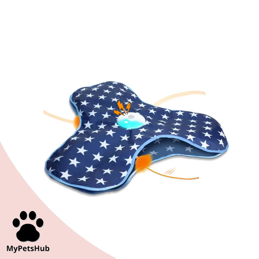 Jouet interactif pour chat et chaton