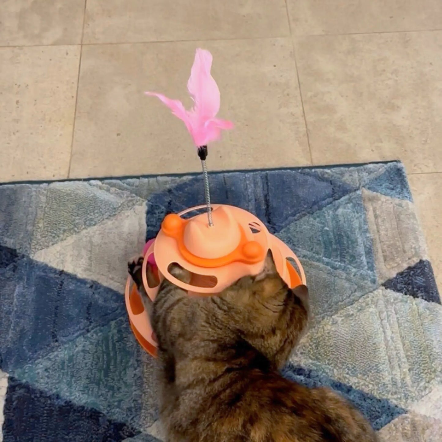 Jouet pour chat contre l'ennui