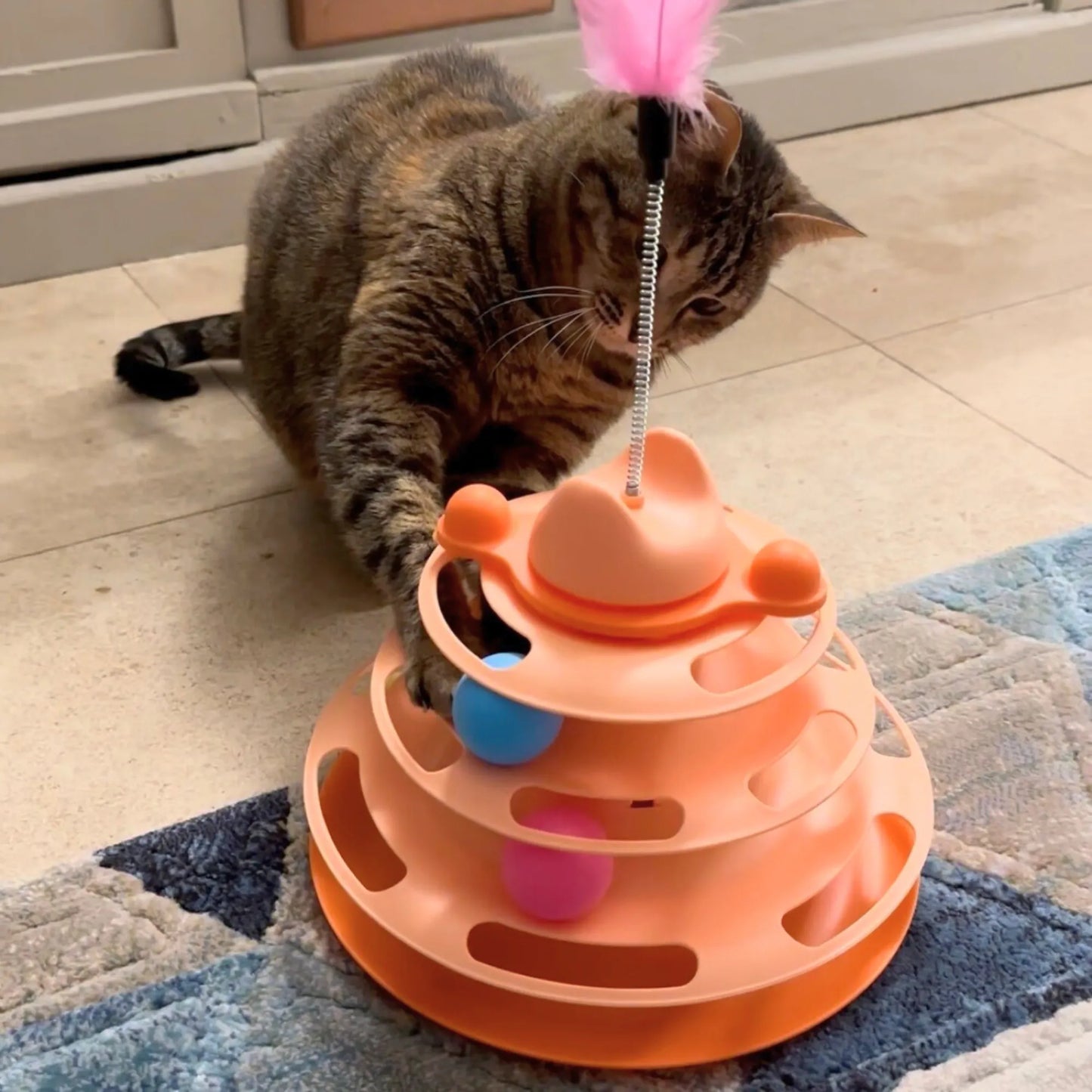 Jouet pour chat contre l'ennui