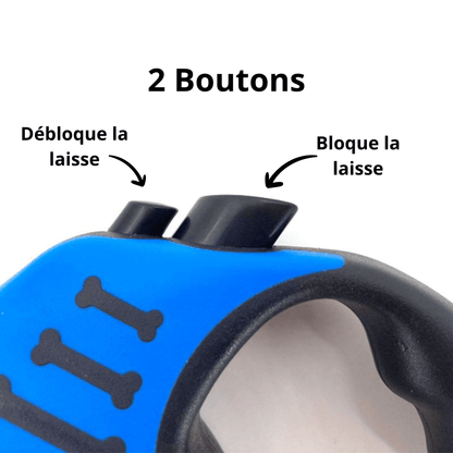 Laisse enrouleur de 3M/5M pour chat ou petit chien - MyPetsHub