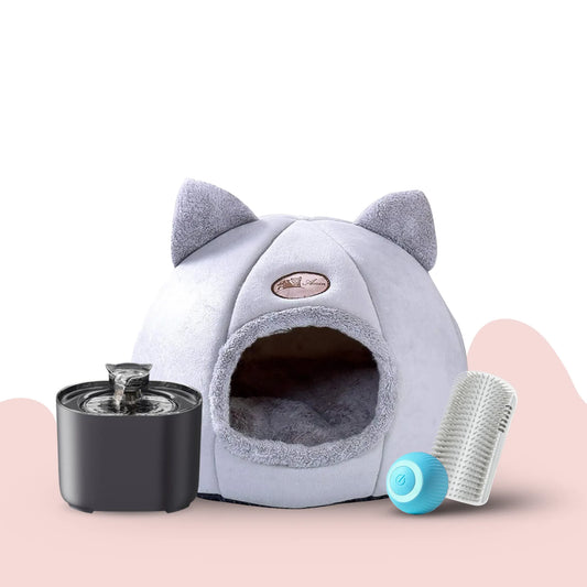 Pack Rentrée pour chats et chatons