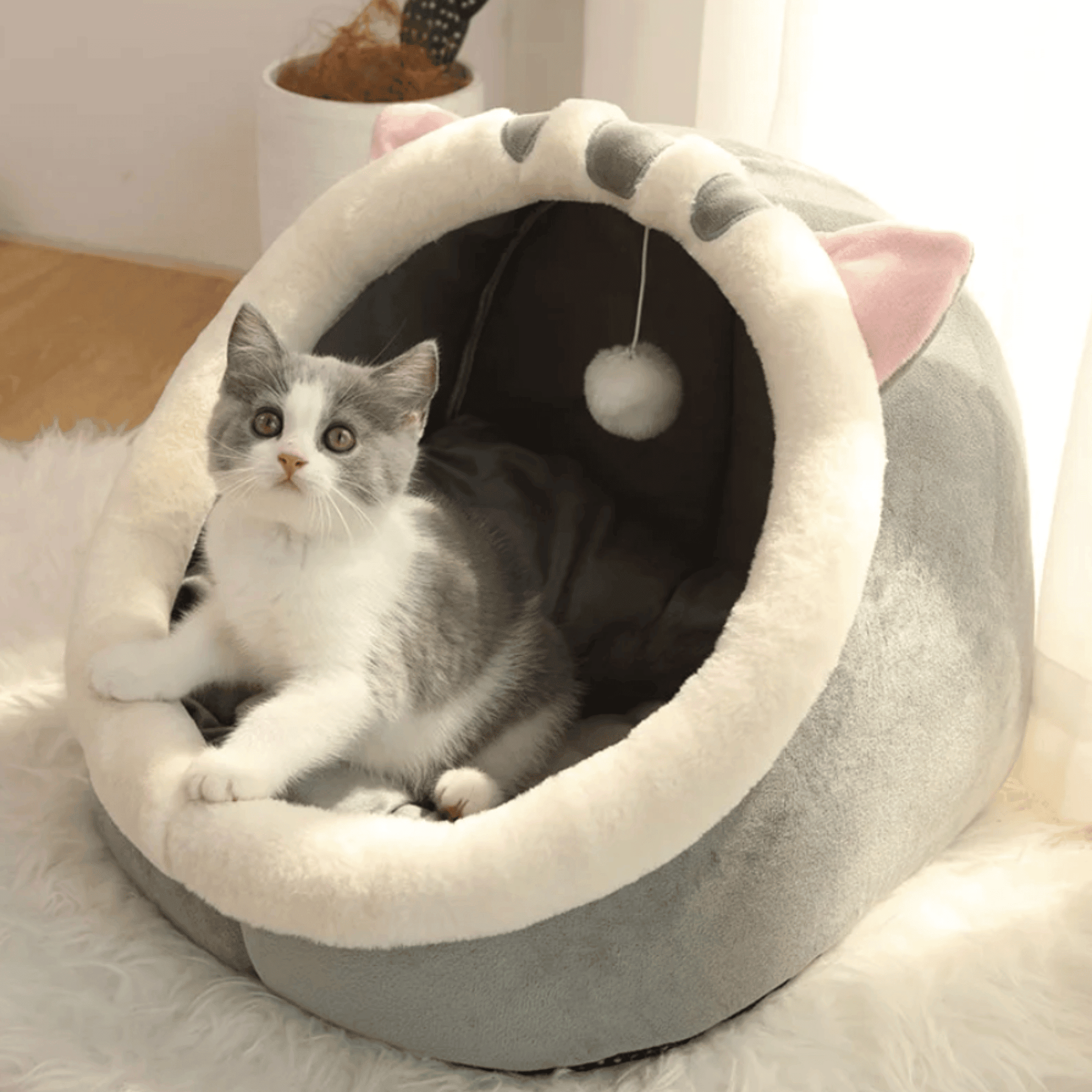 Panier tête d'animaux pour chat | KingCat™ - MyPetsHub