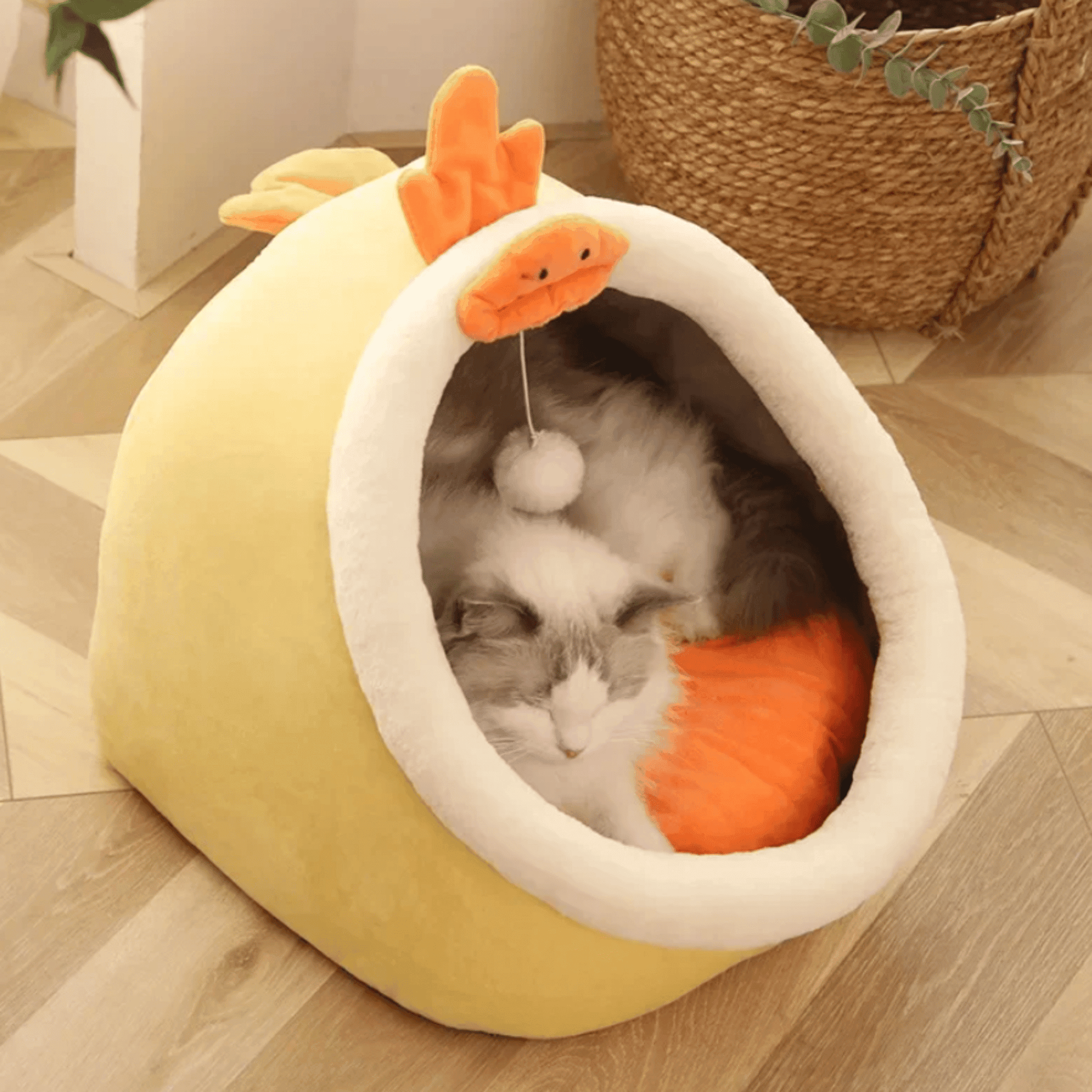 Panier tête d'animaux pour chat | KingCat™ - MyPetsHub