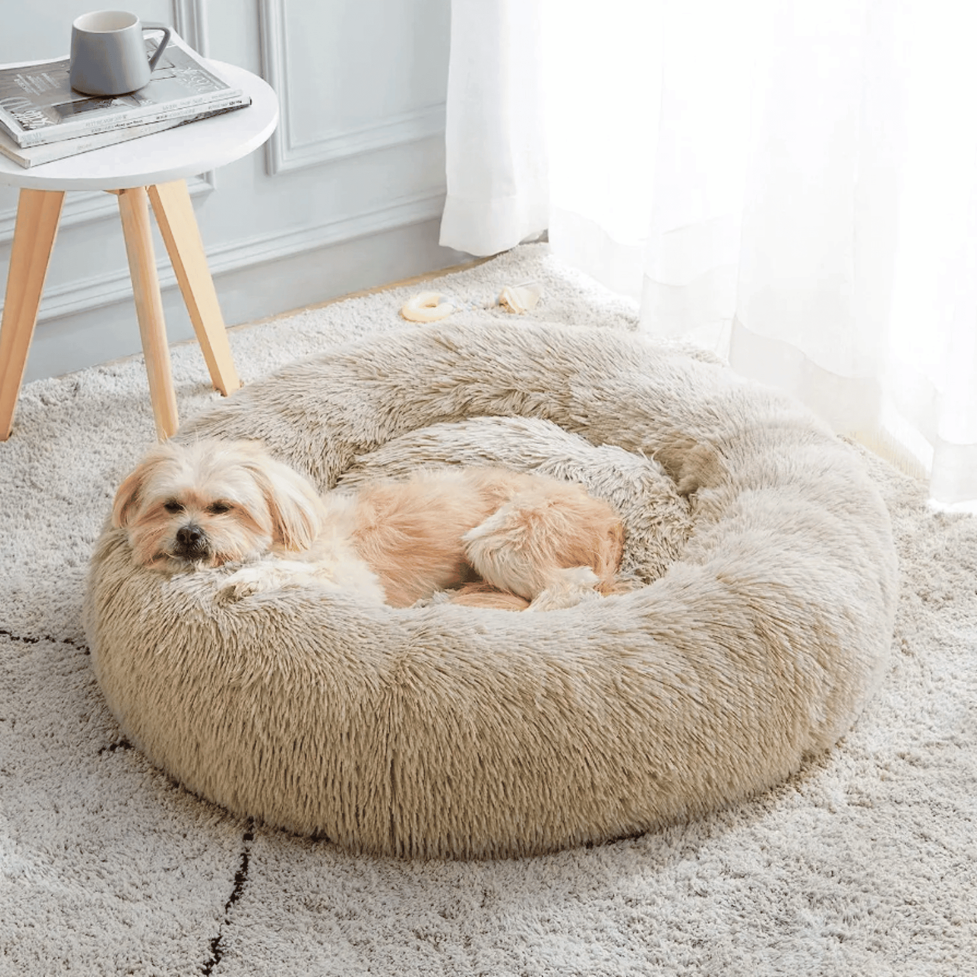 Panier rond pour chien et chat - MyPetsHub
