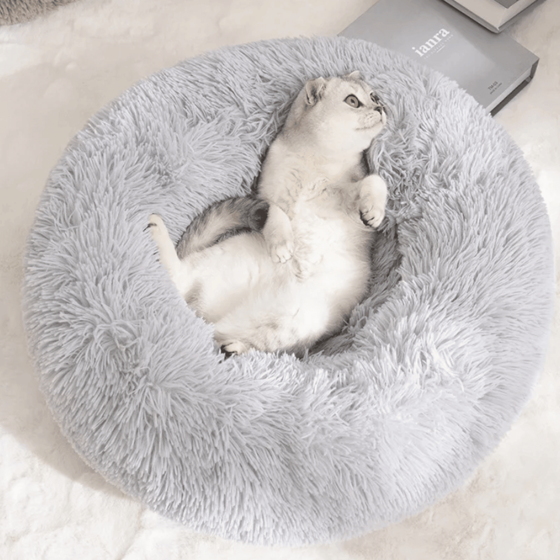 Panier rond pour chien et chat - MyPetsHub