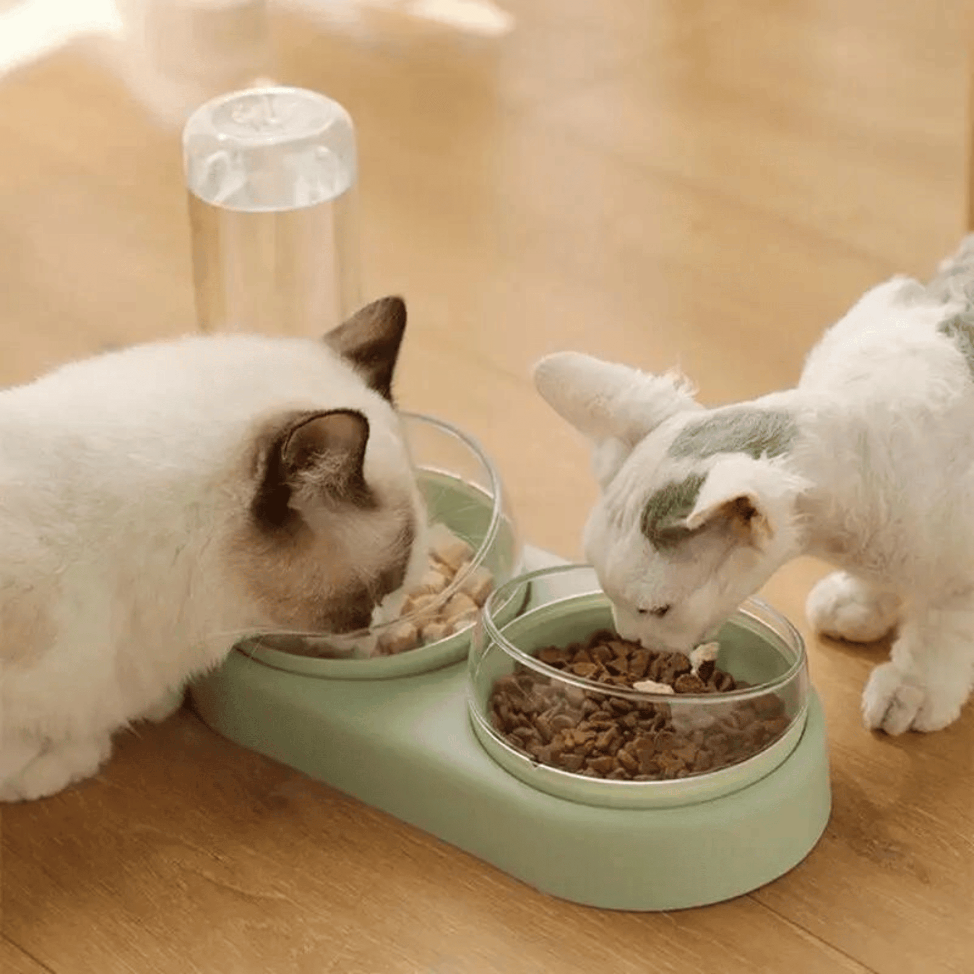 Station de nourriture pour chat | MultiCat™ - MyPetsHub