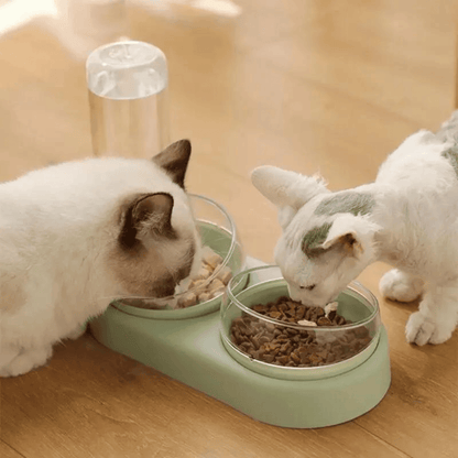 Station de nourriture pour chat | MultiCat™ - MyPetsHub