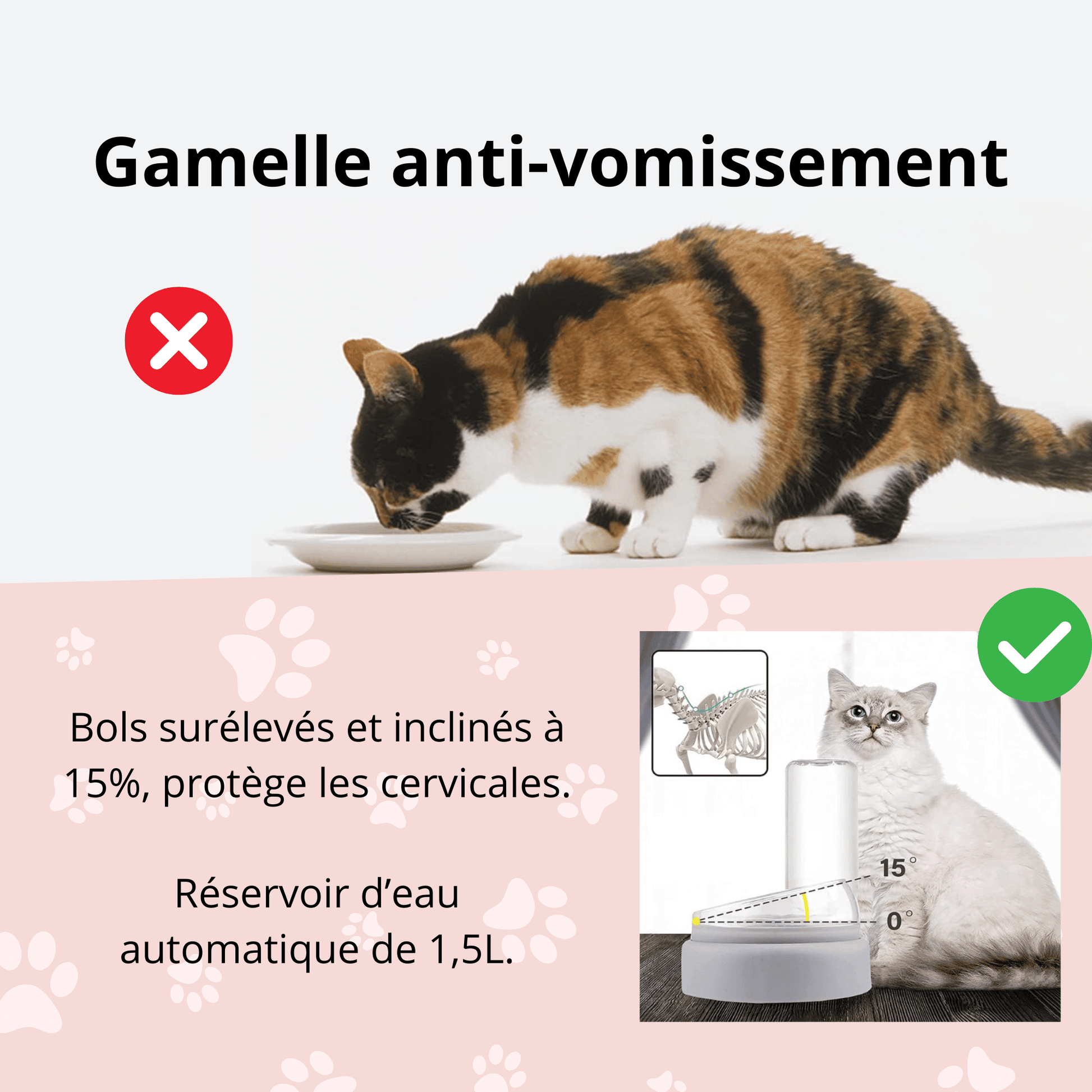 Station de nourriture pour chat | MultiCat™ - MyPetsHub