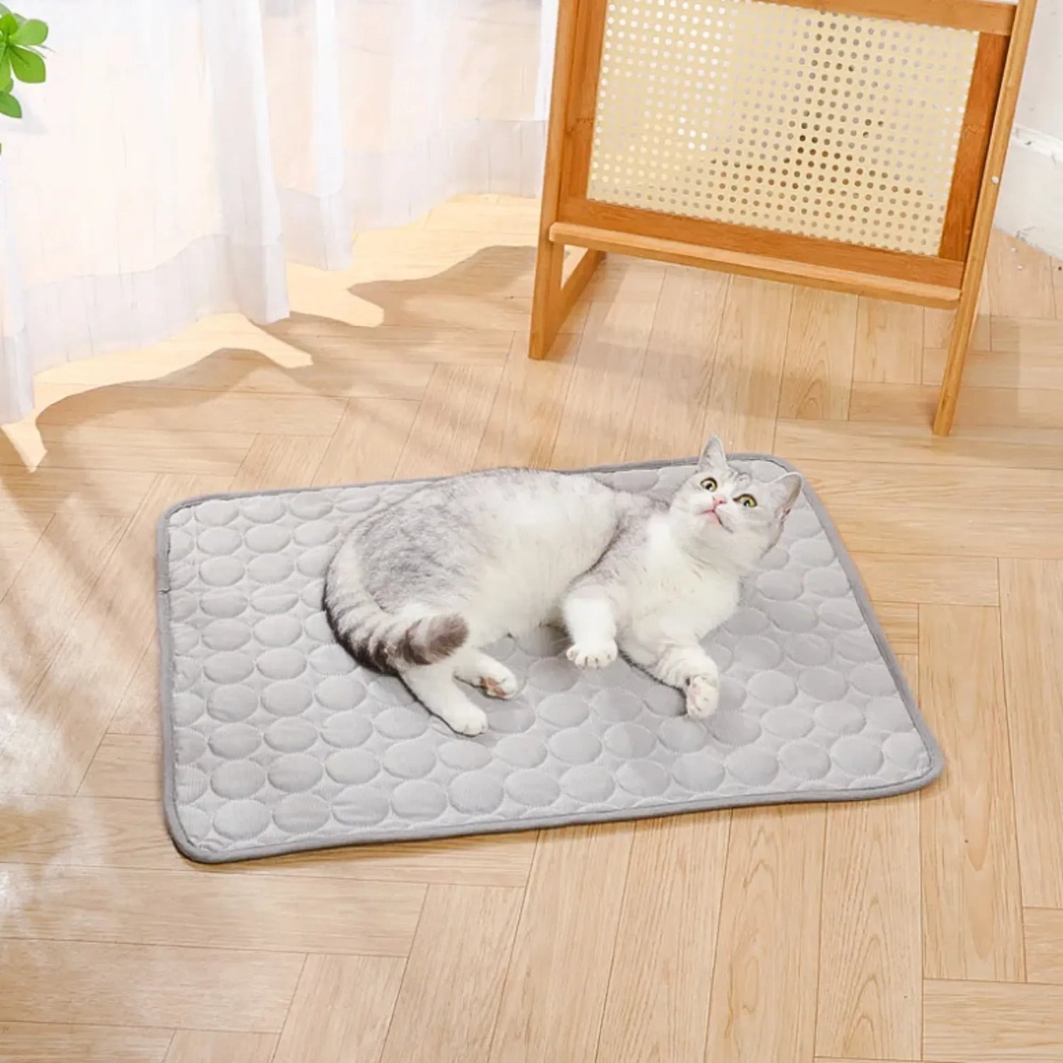 Tapis Rafraichissant Chat Chien Gris Clair Chat Allongé