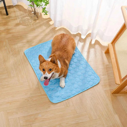 Tapis Rafraichissant pour chien et chat - MyPetsHub